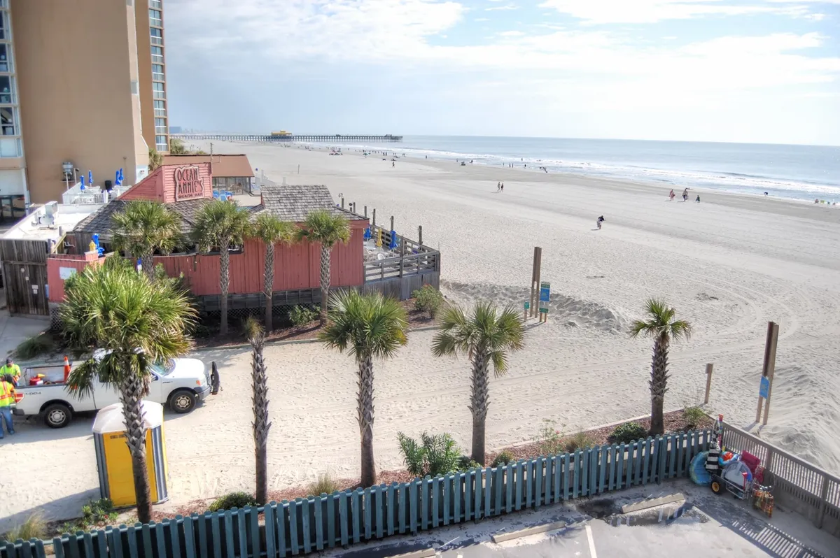 A lively beachfront restaurant with palm trees swaying beside outdoor dining tables, all overlooking the sparkling ocean and a distant pier. The scene is inviting, with people enjoying a meal and the vibrant atmosphere of the shoreline.